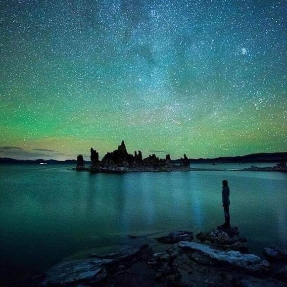 Meet your Posher, Xochitl - Picture 1 of 1